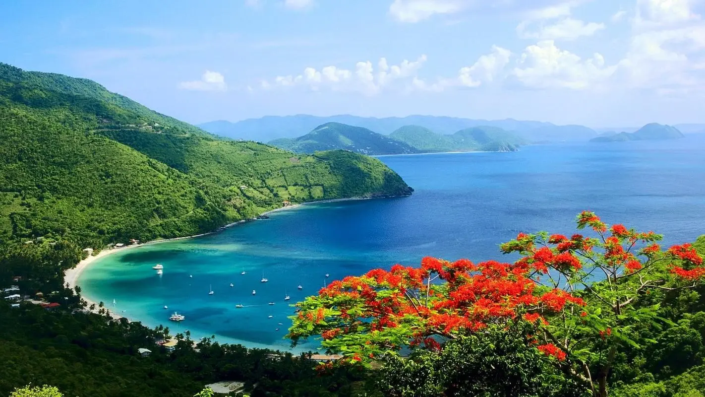 高效网络化无人化